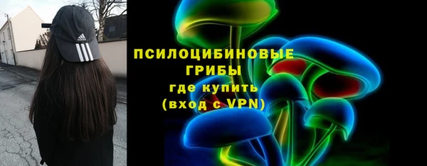 ешки Гусев