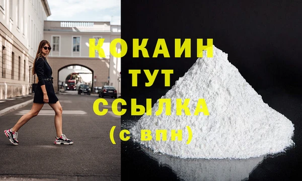 амф Горняк